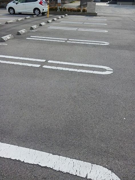 Naikan11 20260127000000 945x630