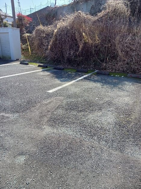 Naikan12 20260213000000