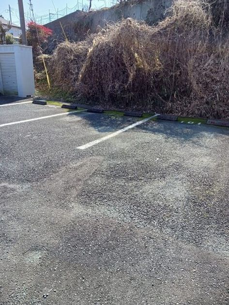 Naikan12 20260213000000 945x630