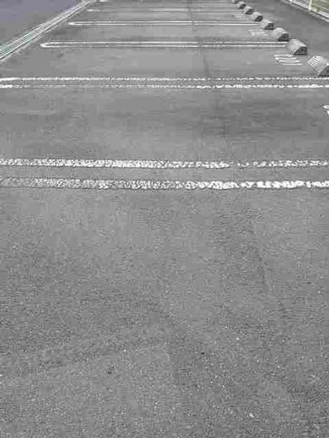 Naikan11 20210510000000 945x630