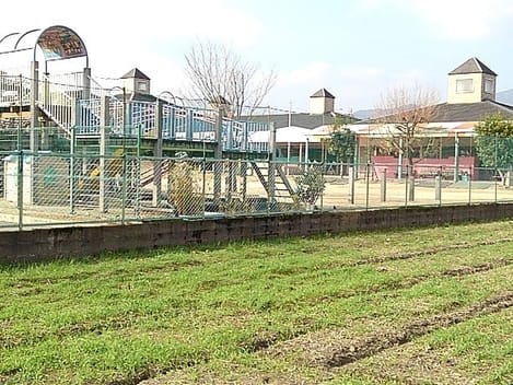 Naikan17 20210209000000