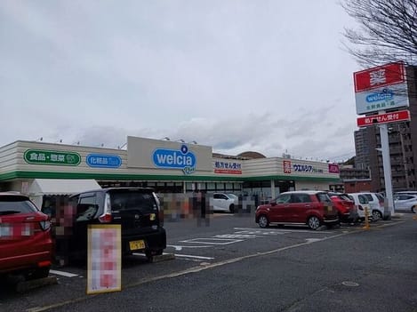 Naikan15 20250306000000