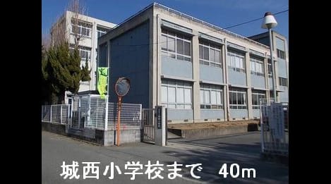 Naikan17 20150302000000