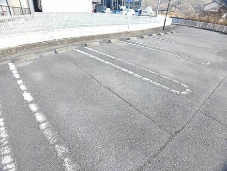 Naikan11 20260202000000