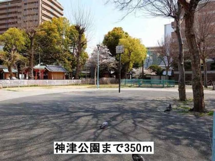 Naikan17 20251003000000 945x630