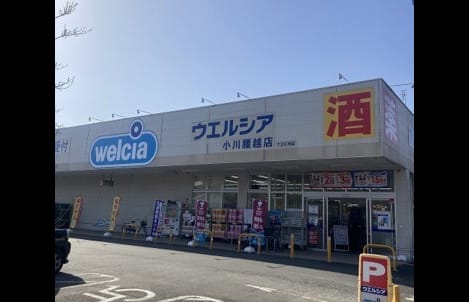 Naikan15 20260203000000