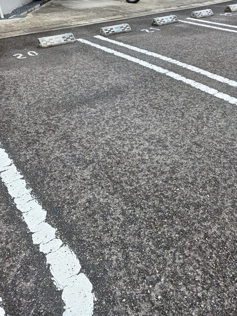 Naikan11 20260424000000
