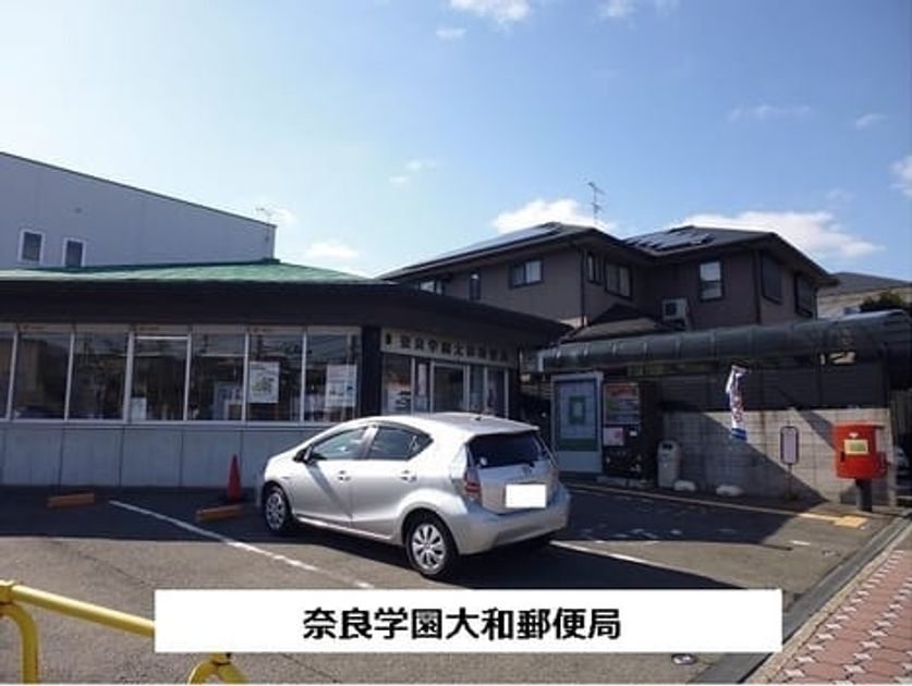 Naikan16 20260217000000 945x630