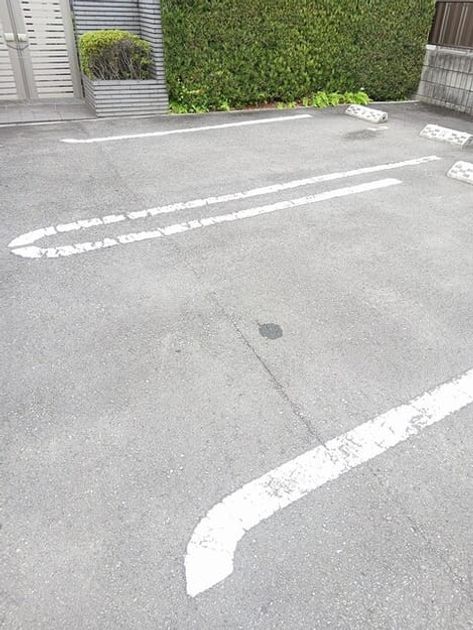 Naikan11 20260424000000 945x630
