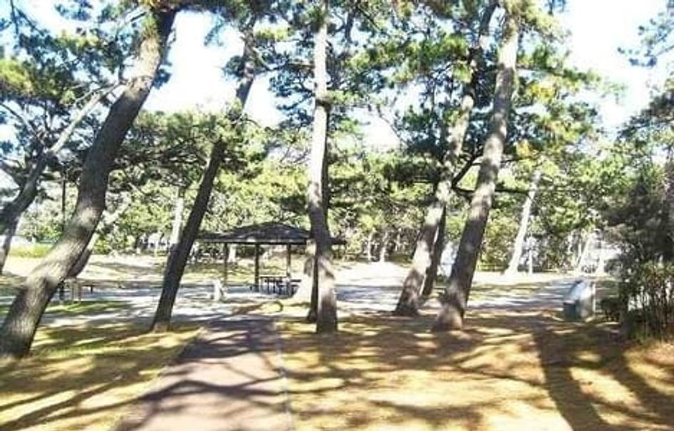 Naikan18 20251016000000 945x630