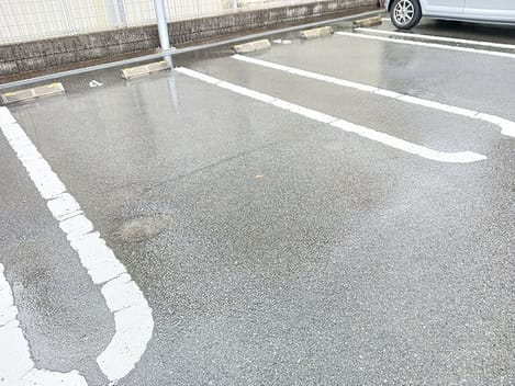 Naikan11 20260904000000