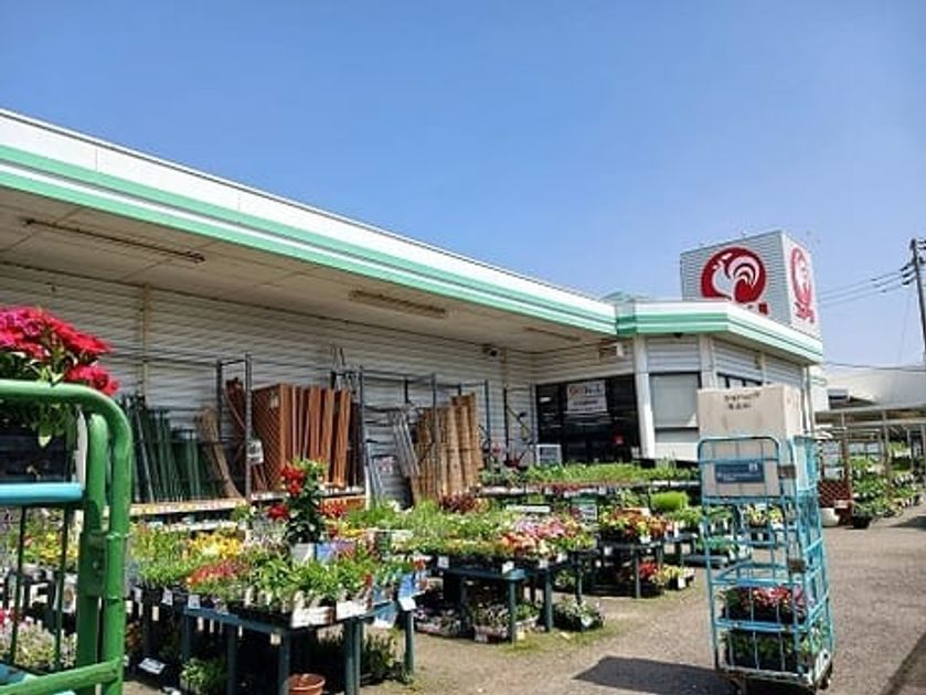 Naikan17 20260306000000 945x630