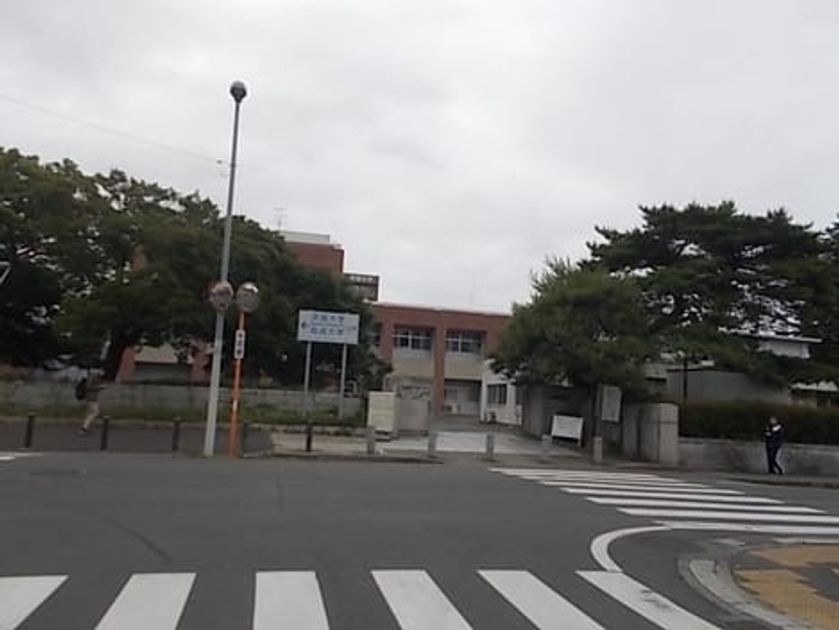 Naikan13 20220609000000 945x630