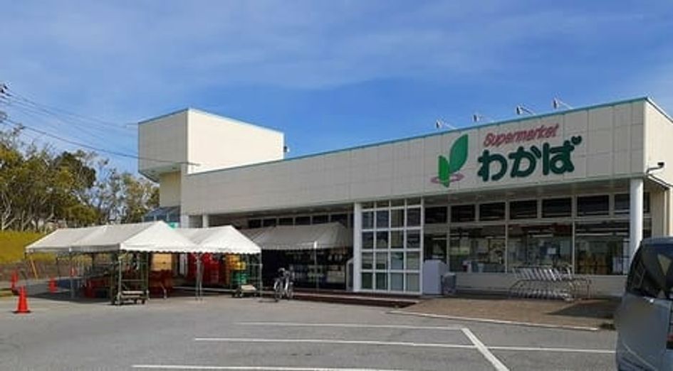 Naikan17 20240208000000 945x630