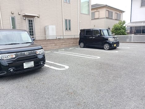 Naikan11 20260619000000