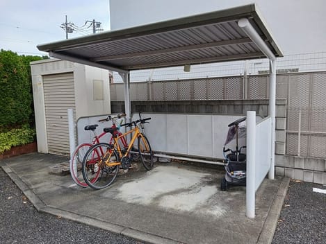 Naikan11 20251105000000