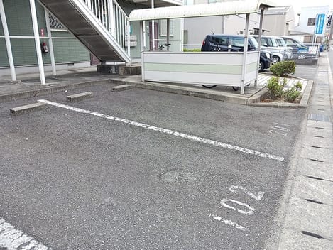Naikan11 20260617000000