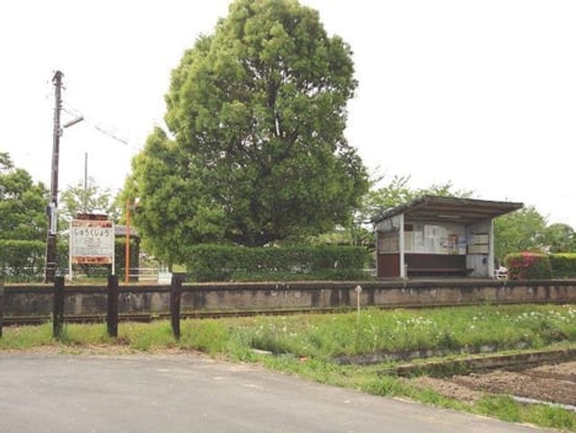 Naikan16 20210125000000 945x630