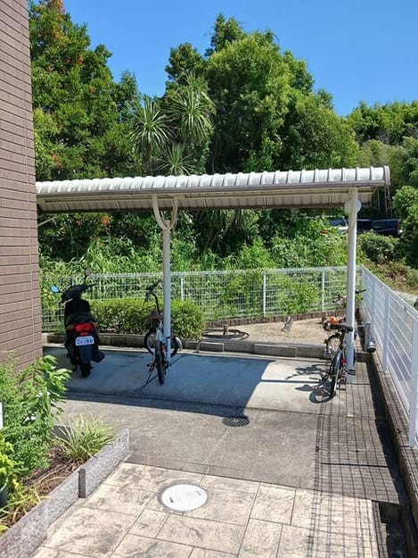 Naikan11 20260615000000