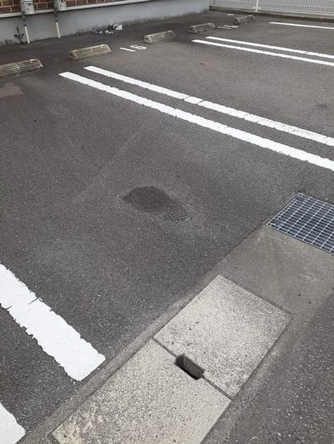Naikan11 20220516000000 945x630