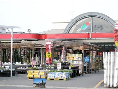 Naikan15 20220818000000