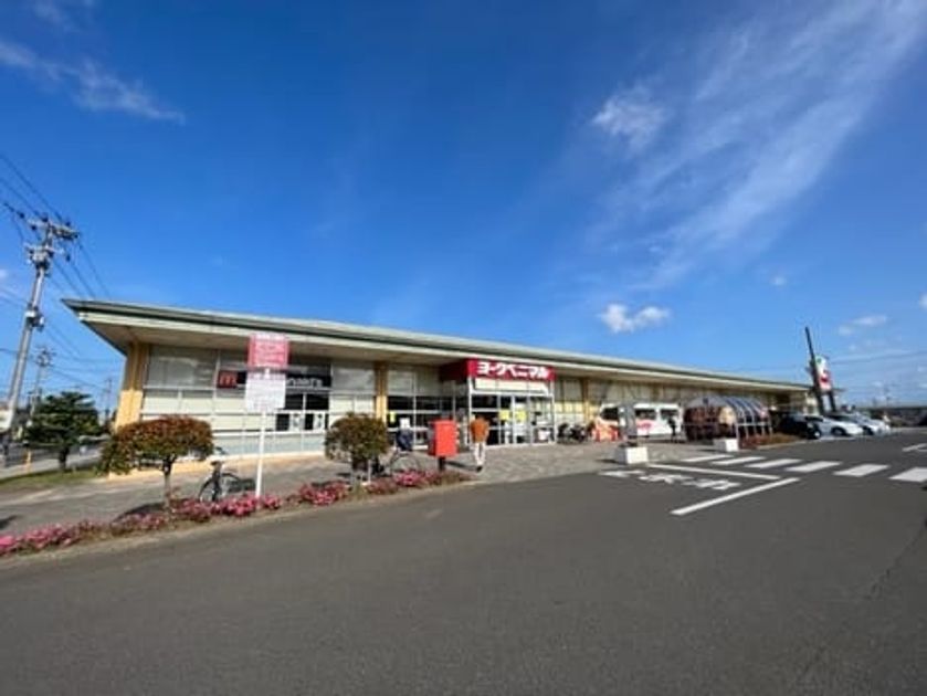Naikan14 20240318000000 945x630