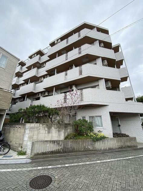 Naikan17 20250410011617 945x630