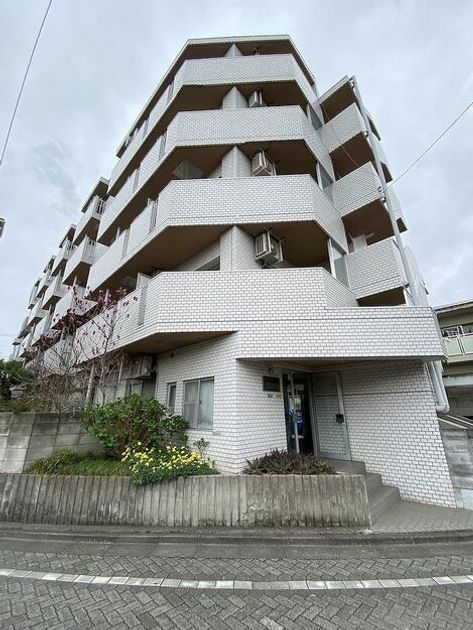 Naikan18 20250410011617 945x630
