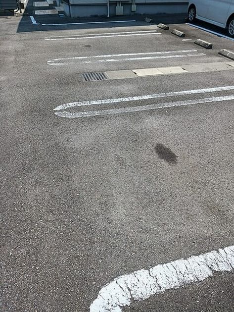 Naikan11 20260722000000 945x630