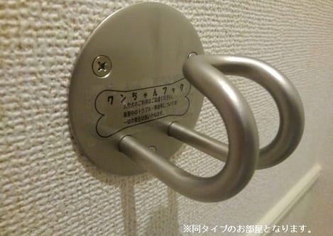 Naikan11 20260407000000