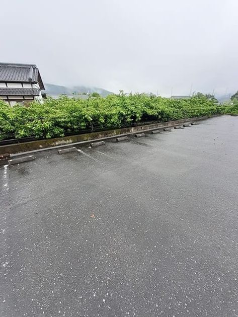Naikan11 20240527000000 945x630