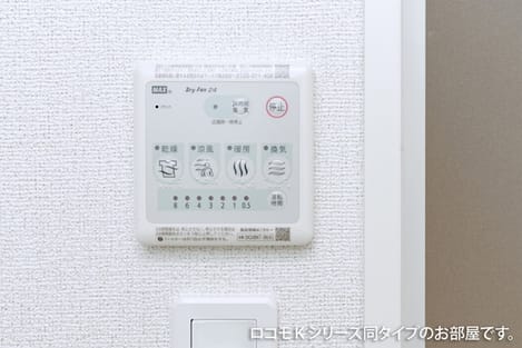 Naikan11 20251215000000