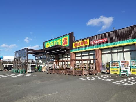 Naikan16 20260225000000