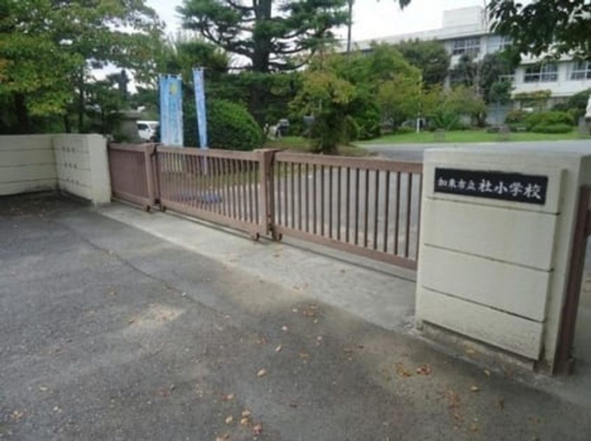 Naikan18 20250129000000 945x630