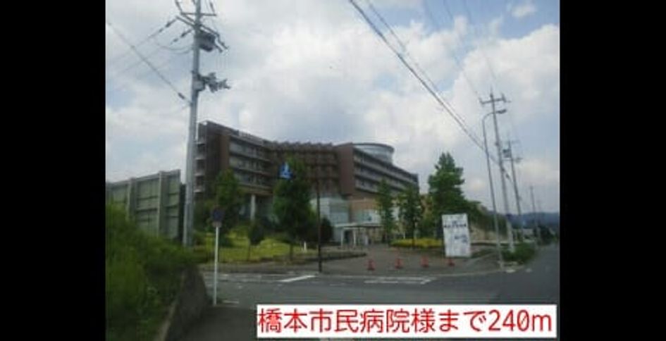 Naikan14 20140720000000 945x630