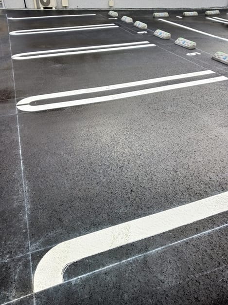 Naikan11 20250128000000