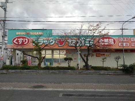 Naikan17 20250205000000