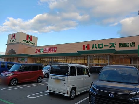 Naikan7 20241107000000