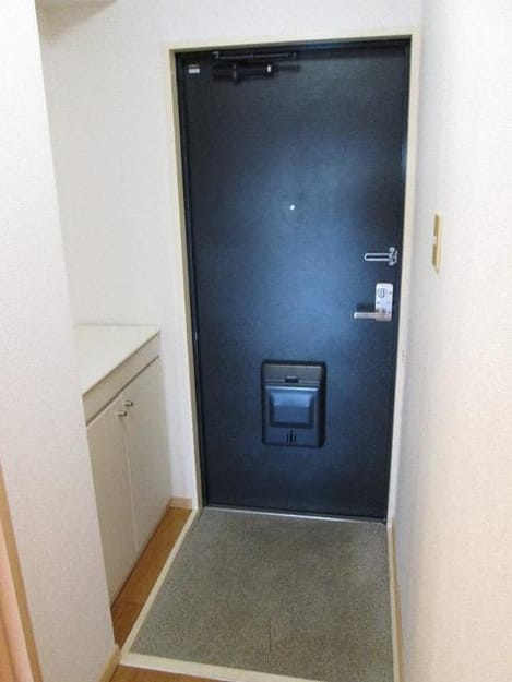 Naikan12 20200207000000