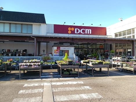 Naikan16 20260608000000