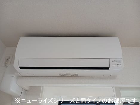 Naikan10 20260803000000
