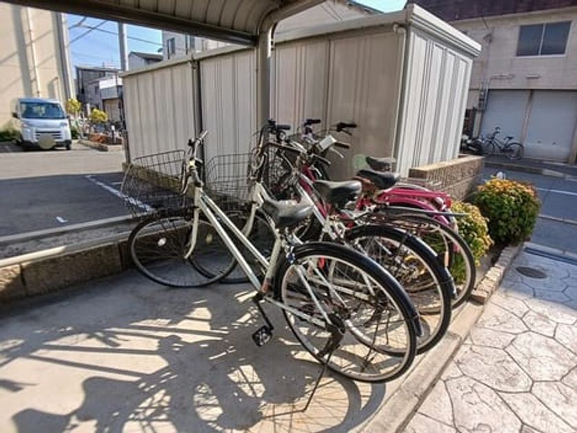 Naikan11 20251121000000 945x630