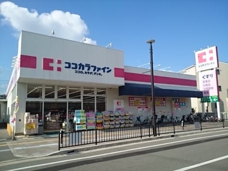 Naikan14 20250315000000