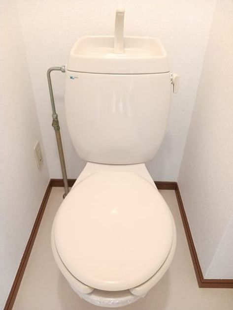 Naikan8 20250130000000 945x630