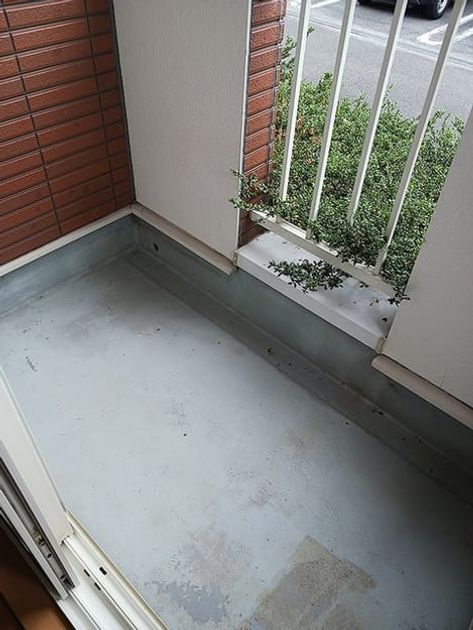 Naikan9 20261019000000 945x630