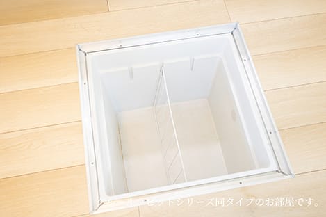Naikan11 20260608000000