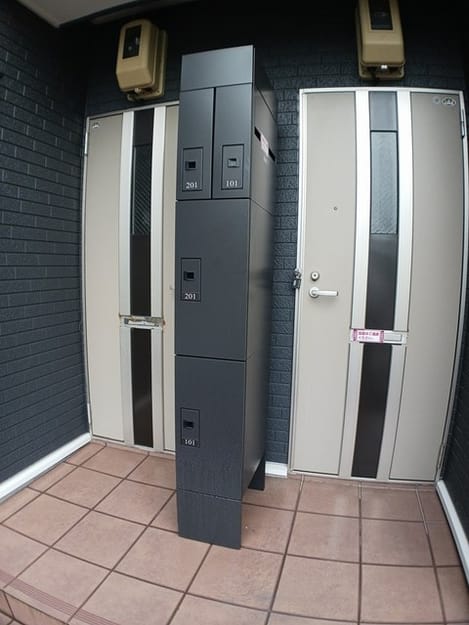 Naikan11 20250319000000