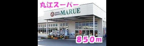 Naikan16 20150510000000
