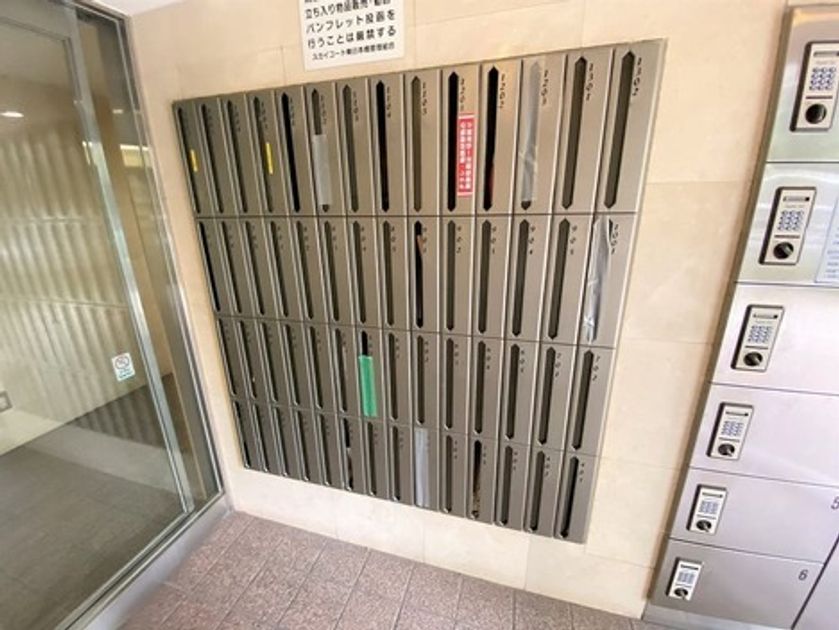 Naikan20 20250228211837 945x630