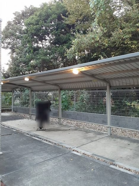Naikan10 20250718000000